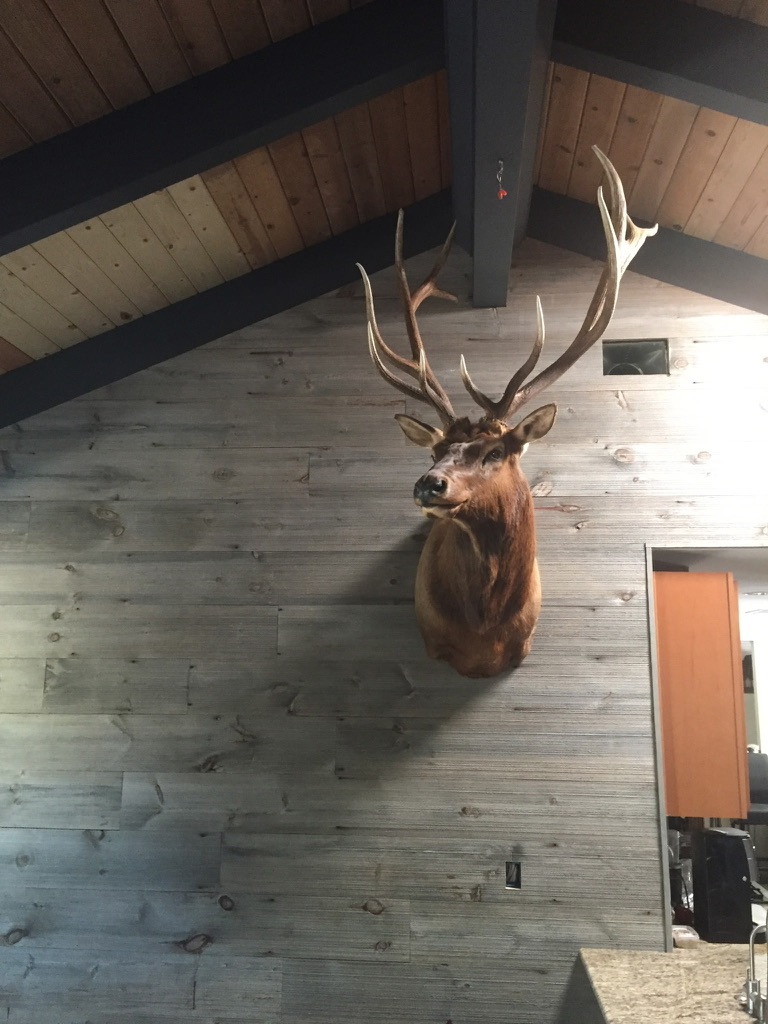 High Sierra Innovation project photo 32